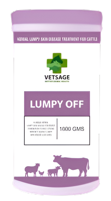 Lumpy Solutions