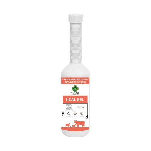 I-CAL GEL