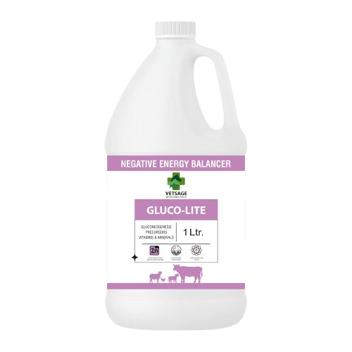 Gluco Lite Product