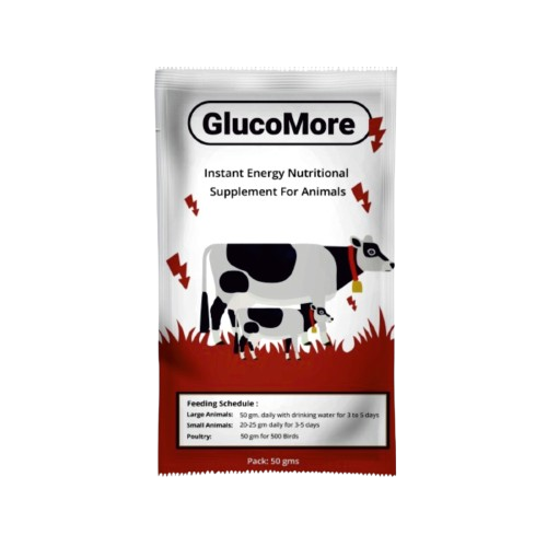 Glucomore Product